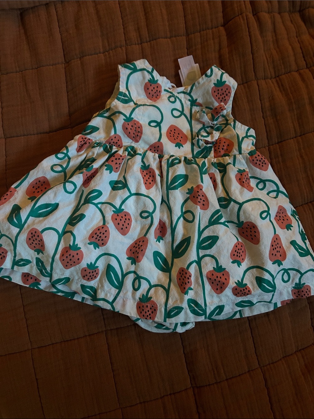 Hanna Andersson White Dress with Pink Strawberry Print